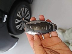Hongqi HQ9 PHEV 2.0T four-wheel drive business version - фото 9