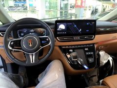 Hongqi HQ9 2023 2.0T Zhilian Qiling Edition - фото 10