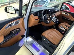 Hongqi HQ9 2023 2.0T Zhilian Qiling Edition - фото 16