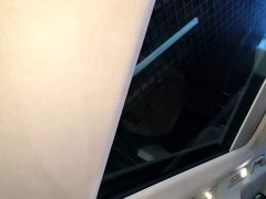 Hongqi HQ9 2023 2.0T Zhilian Qiling Edition - фото 18