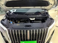 Hongqi HQ9 2023 2.0T Zhilian Qiling Edition - фото 20
