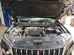 Hongqi HS5 2.0T two-wheel drive Qixiang Pro version - фото 10