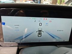 Hongqi HS5 2.0T two-wheel drive Qixiang Pro version - фото 4