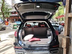 Hongqi HS5 2.0T two-wheel drive Qixiang Pro version - фото 9