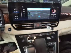 Hongqi HQ9 2.0T Zhilian Qiling Edition - фото 13