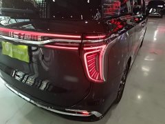 Hongqi HQ9 2.0T Zhilian Qiling Edition - фото 8