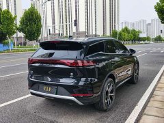 BYD Tangxin Energy DM-i 115KM Yunnan flagship - фото 8