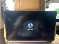 Denza D9 2022 DM-i 970 four-wheel drive premium - фото 12