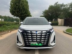 Denza D9 2022 DM-i 970 four-wheel drive premium - фото 2