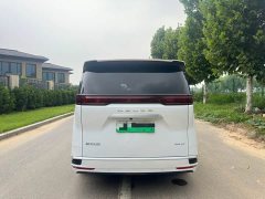Denza D9 2022 DM-i 970 four-wheel drive premium - фото 5