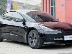 Tesla Model 3 rear-wheel drive version - фото 3