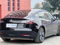 Tesla Model 3 rear-wheel drive version - фото 6