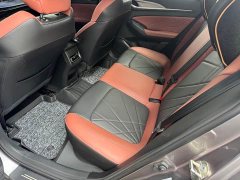 Ford EADO PLUS Blue Whale NE 1.4T GDI DCT Premium Edition - фото 9