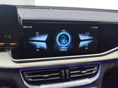 Hongqi H9 2020 3.0T Zhilian Qiling four-seater version - фото 13
