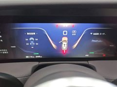 Hongqi E-HS9 690km flagship version six seats - фото 12