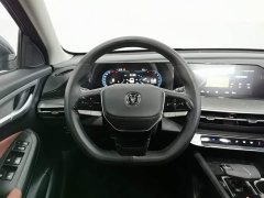 Ford Eado Enjoy Edition PLUS Blue Whale NE 1.4T GDI DCT Premium Edition - фото 11