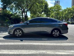 Ford EADO PLUS Blue Whale NE 1.4T GDI DCT Premium Type - фото 4