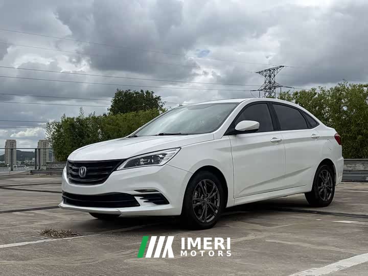 Ford Eado DT 2021 1.6L automatic luxury - автомобиль из Китая