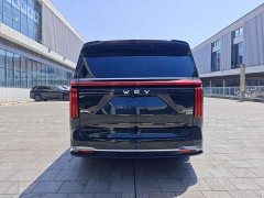 Great Wall Wei brand Gaoshan New Energy 2023 four-wheel drive executive extended version - фото 7