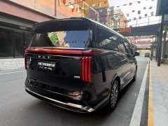 Great Wall Wei brand Gaoshan New Energy 2023 four-wheel drive executive extended version - фото 7