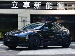 Tesla Model Y rear-wheel drive version - фото 1