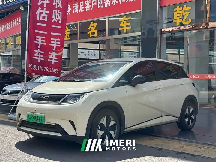 BYD Dolphin 420km Free Edition - автомобиль из Китая