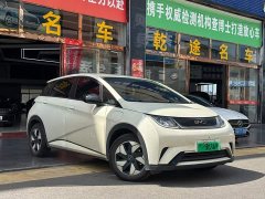 BYD Dolphin 420km Free Edition - фото 4