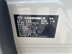 BYD Seagull Flying Edition - фото 16