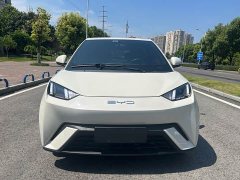 BYD Seagull Flying Edition - фото 2