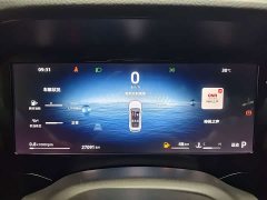 Geely Xingyue L 2024 2.0TD DCT EVO two-wheel drive Changfeng version - фото 15