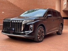 Hongqi HS7 PHEV 2.0T PHEV four-wheel drive Qichang version 6 seats - фото 1