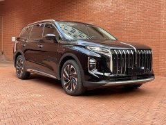 Hongqi HS7 PHEV 2.0T PHEV four-wheel drive Qichang version 6 seats - фото 3