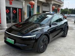Tesla Model Y rear-wheel drive version - фото 1