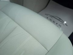 Buick GL8 New Energy Lu Zun Luxury Edition 6 seats - фото 13