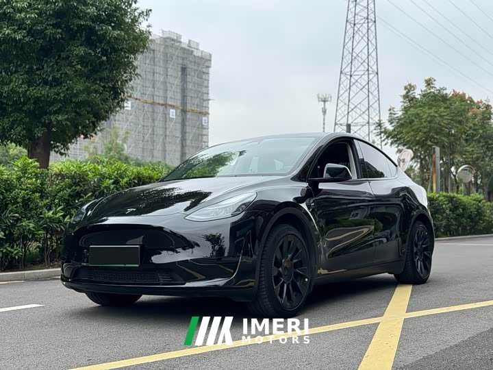 Tesla Model Y rear-wheel drive version - автомобиль из Китая
