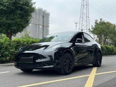 Tesla Model Y rear-wheel drive version - фото 1