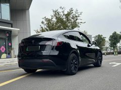 Tesla Model Y rear-wheel drive version - фото 10