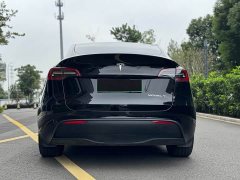 Tesla Model Y rear-wheel drive version - фото 11