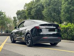 Tesla Model Y rear-wheel drive version - фото 12