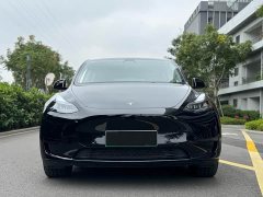 Tesla Model Y rear-wheel drive version - фото 2