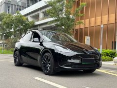 Tesla Model Y rear-wheel drive version - фото 3