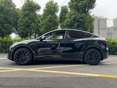 Tesla Model Y rear-wheel drive version - фото 9
