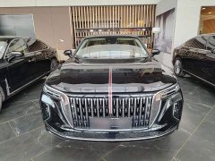Hongqi H9 2.0T two-wheel drive Qichang luxury business version 5 seats - фото 3