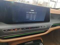 Hongqi H9 2.0T two-wheel drive Qichang luxury business version 5 seats - фото 13