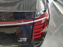 Hongqi H9 2.0T two-wheel drive Qichang luxury business version 5 seats - фото 8