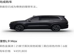 Li Auto Ideal L9 2022 Max - фото 5