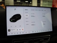 Li Auto Ideal L9 2022 Max - фото 6