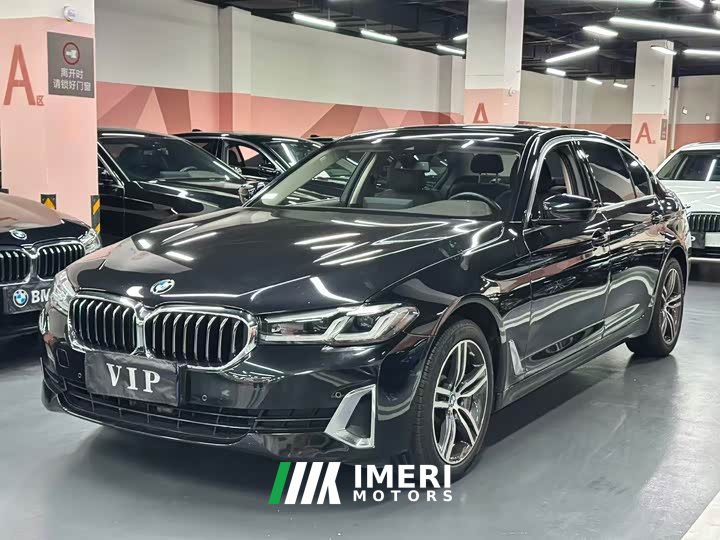 BMW 5 Series 530Li Leading Luxury Package - автомобиль из Китая