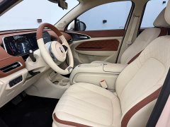Ora Euler Good Cat 401km standard battery life luxury ternary lithium - фото 6