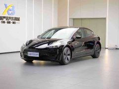 Tesla Model 3 standard range rear drive upgraded version 3D6 - фото 1